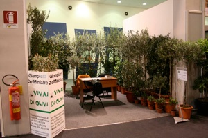 Stand fiera di Padova olivi